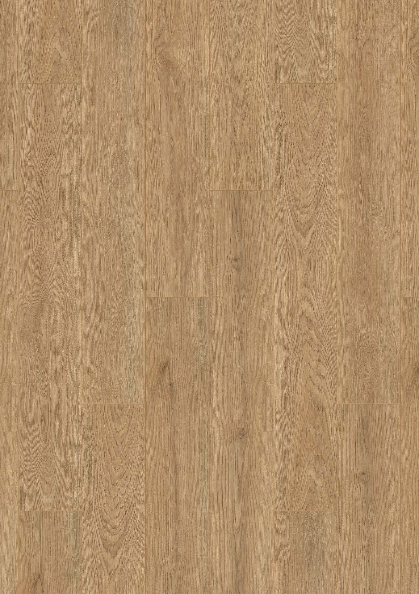 K638 Wheat Cornforth Oak