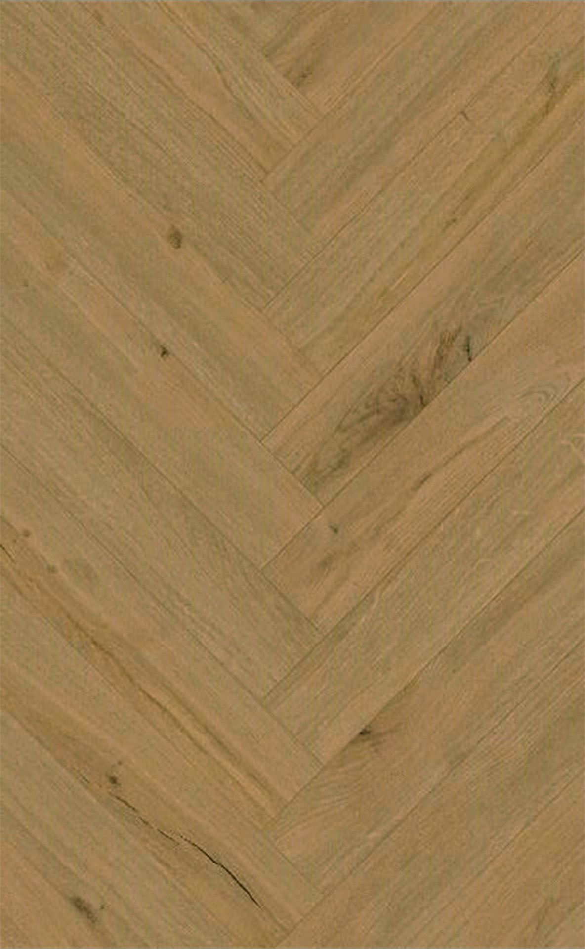 K805 Gold Highate Oak