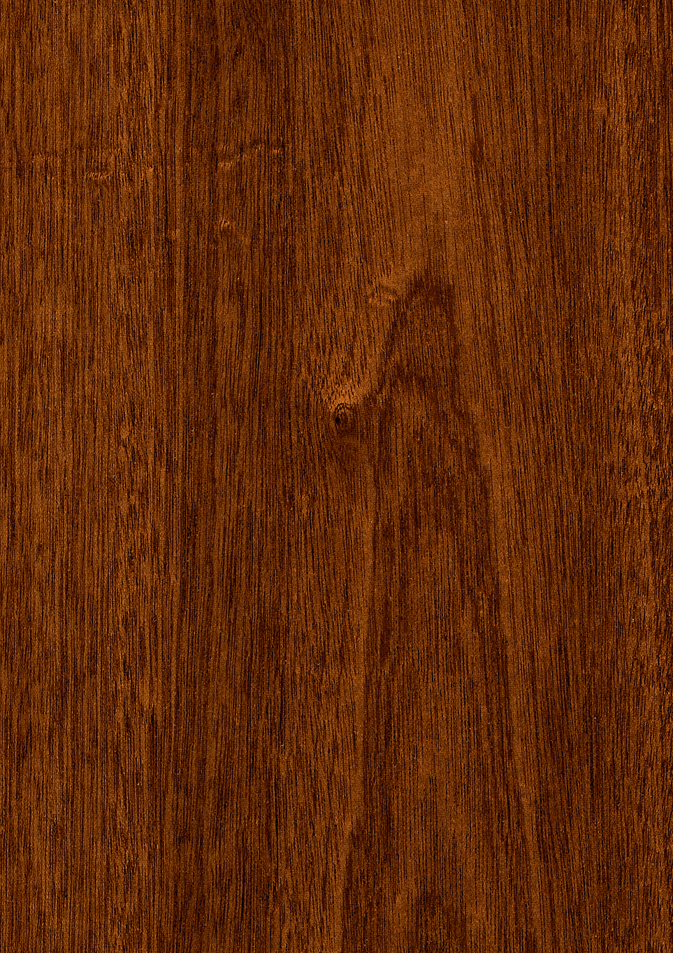 О771 Pacific Cherry