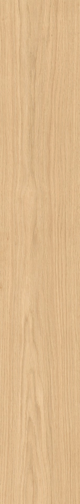 R238 Dune Allegra Oak