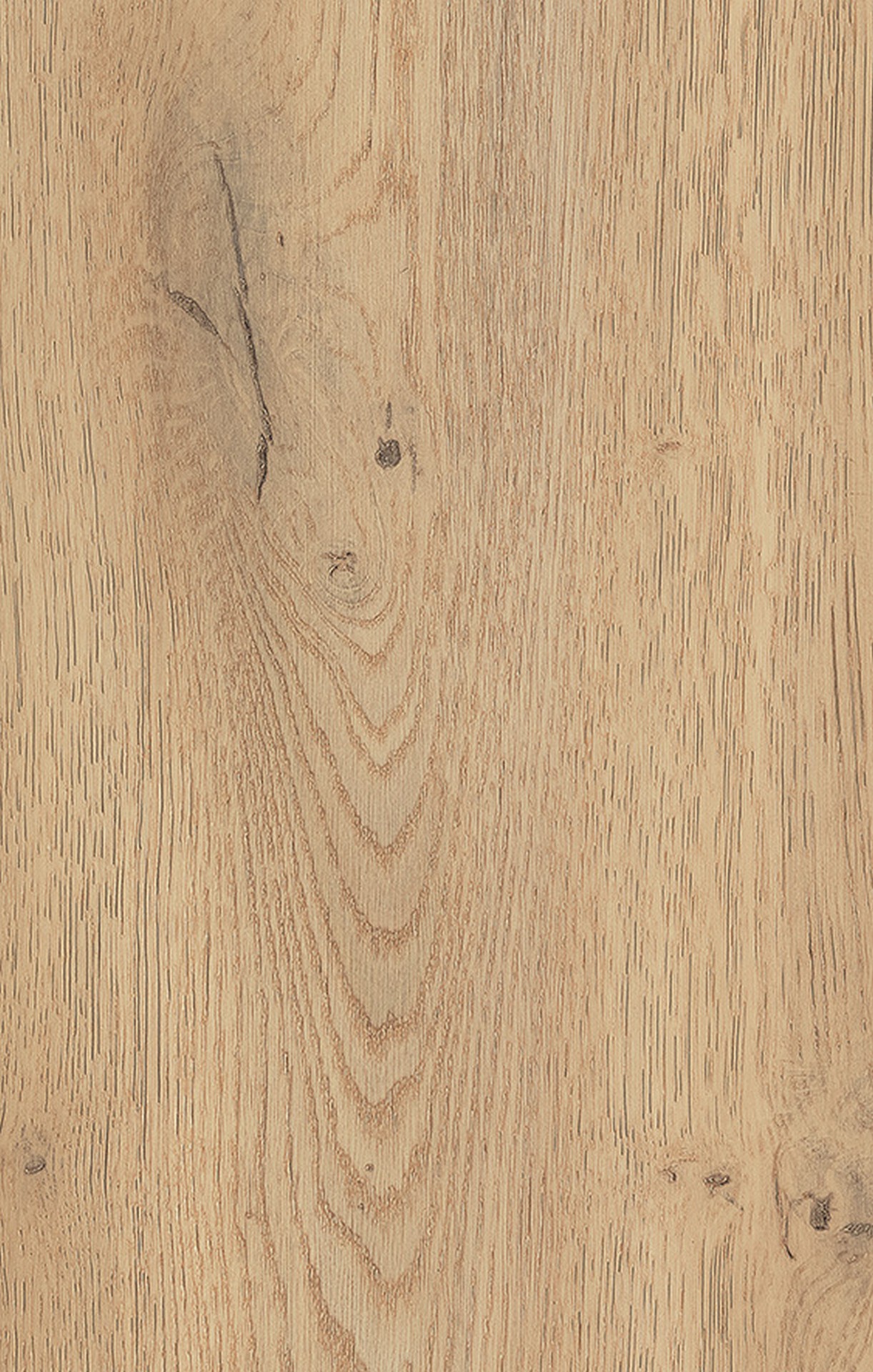 K2738 Torro Cremona Oak