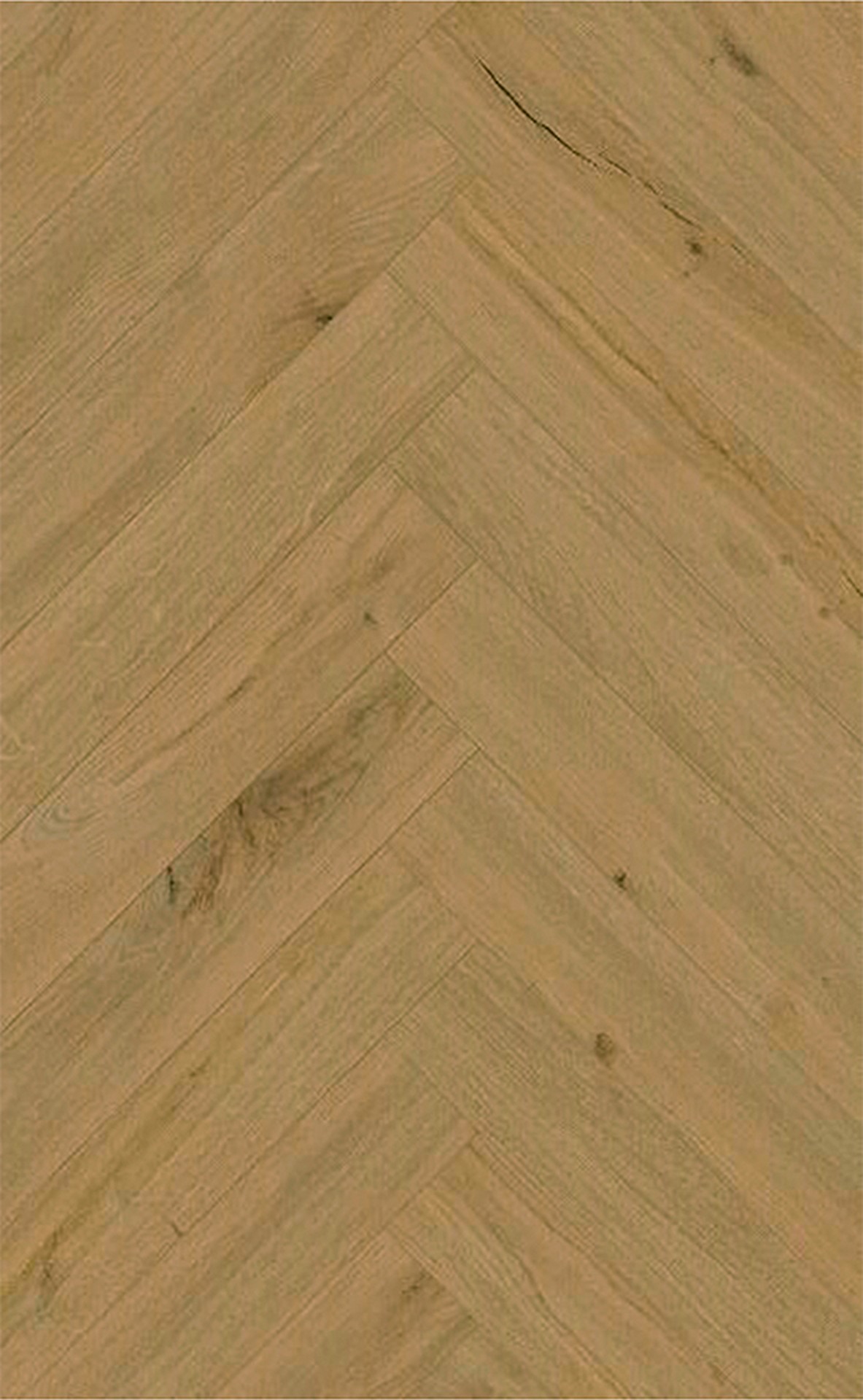 K805 Gold Highate Oak