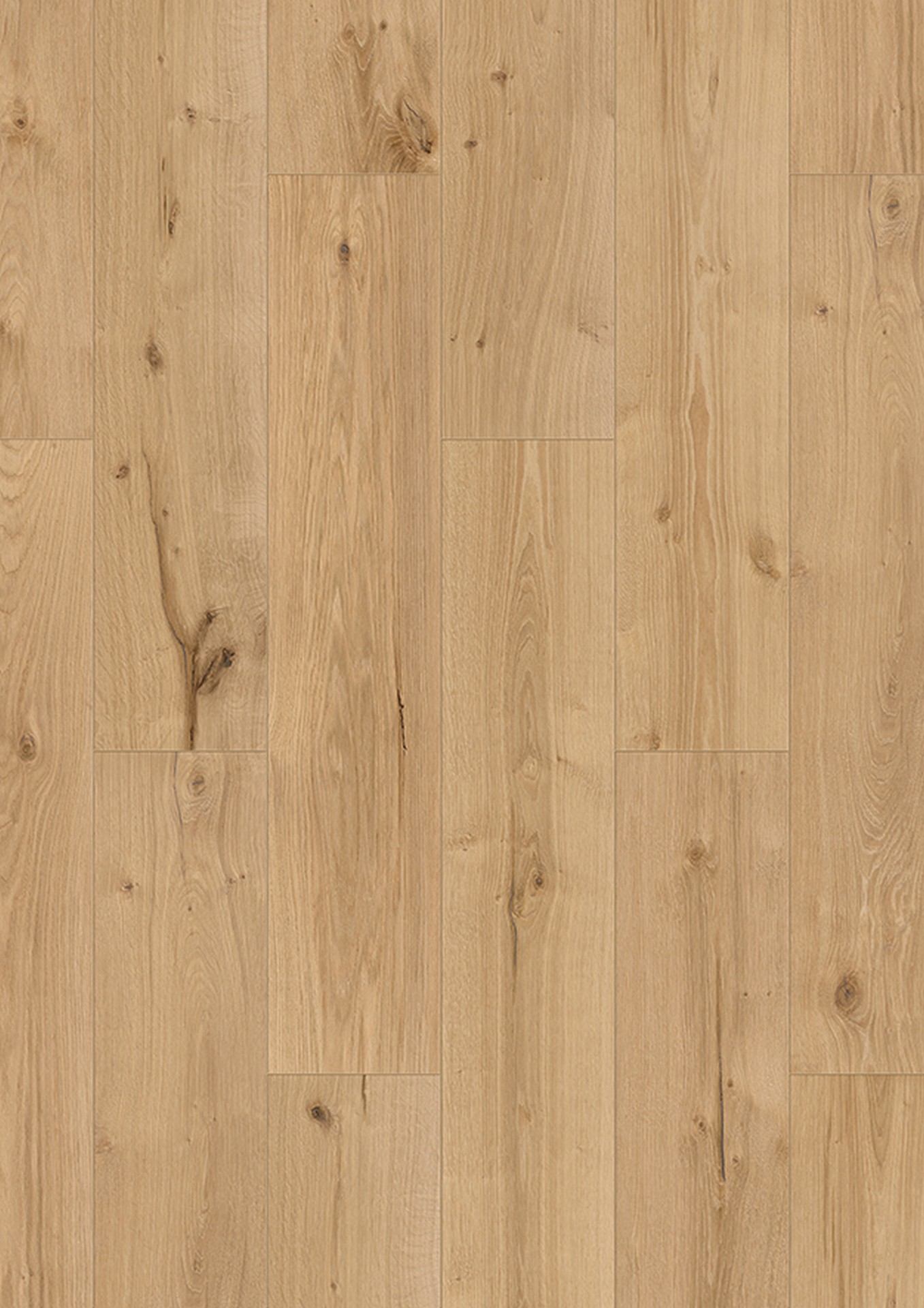 R231 Cookie Villa Rica Oak