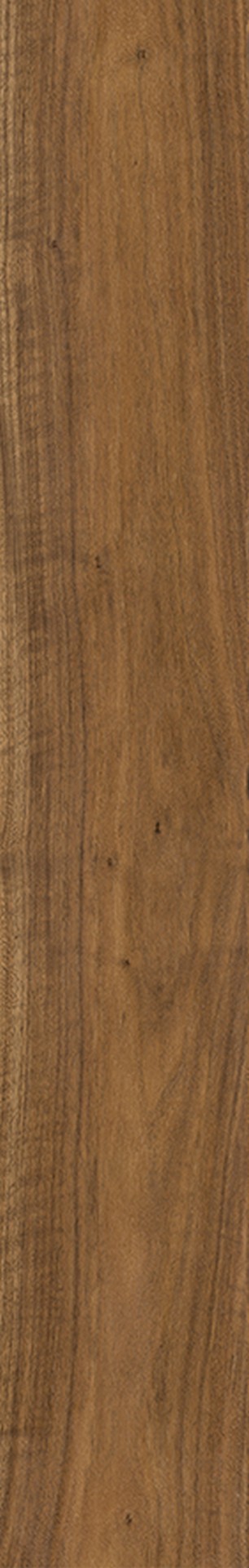R246 Cadenza Walnut