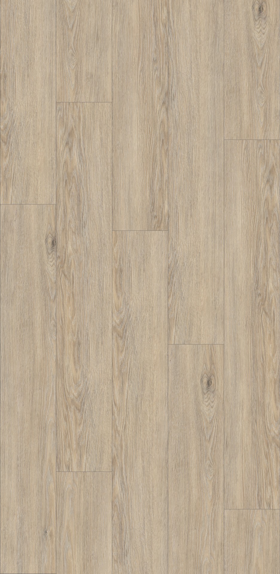 K856 Greige Palais Oak