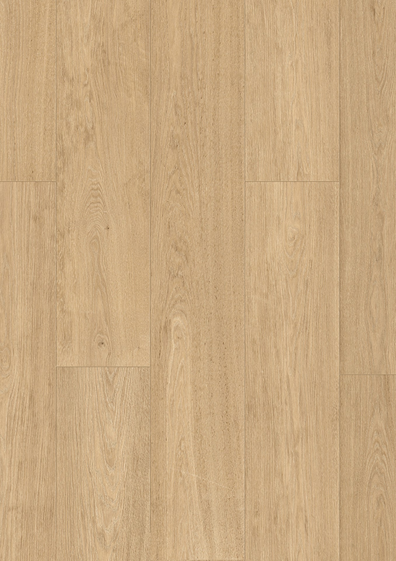 R236 Seashell Regis Oak