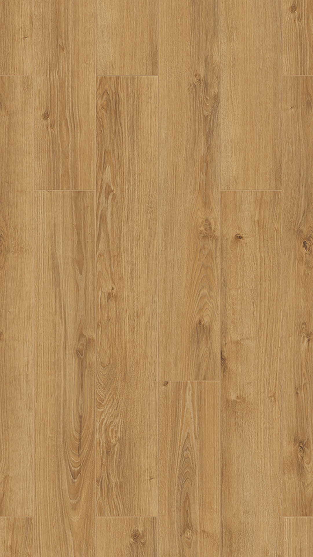 K794 Old Camberwick Oak