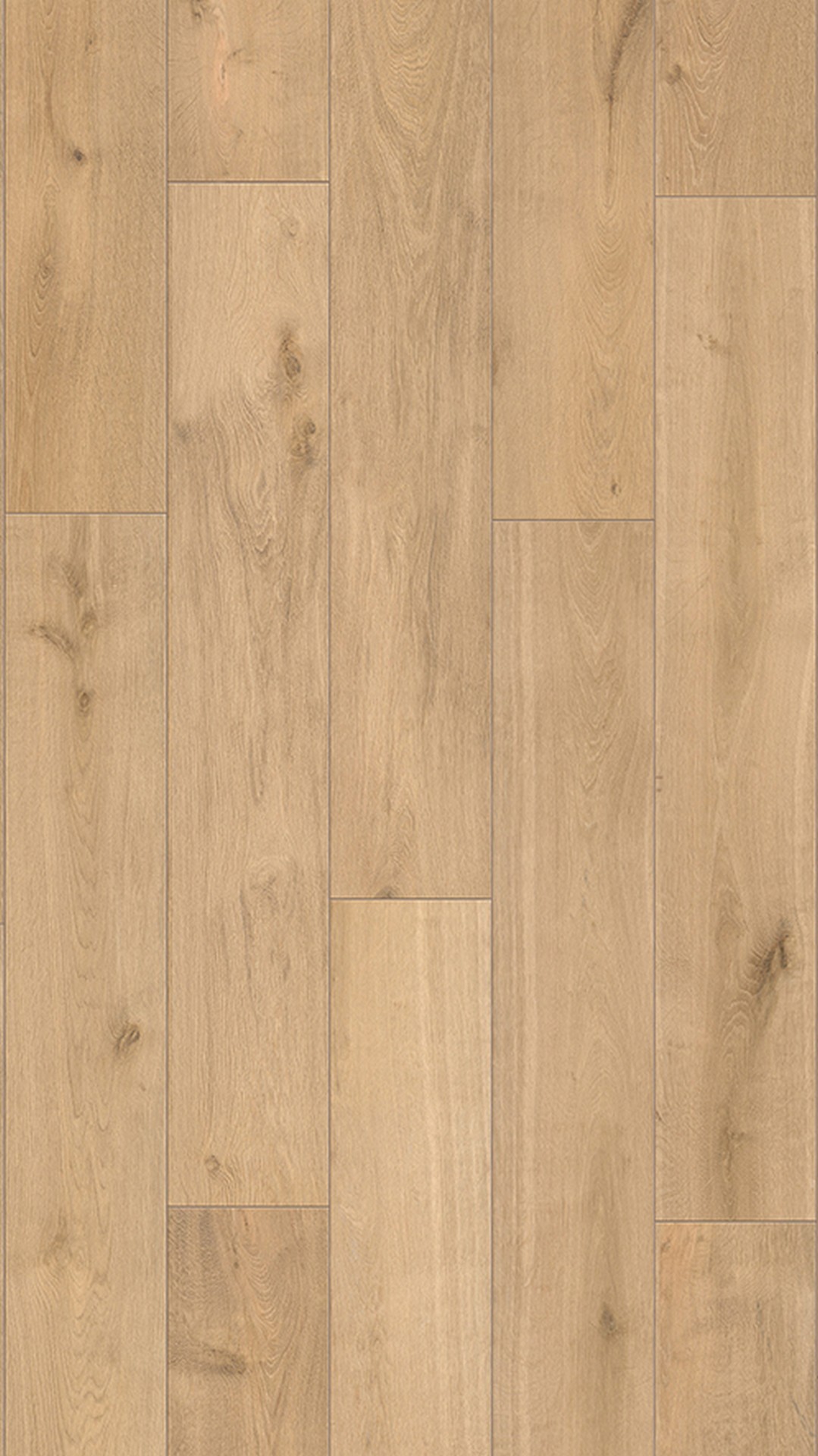 R251 Sand Mesa Oak