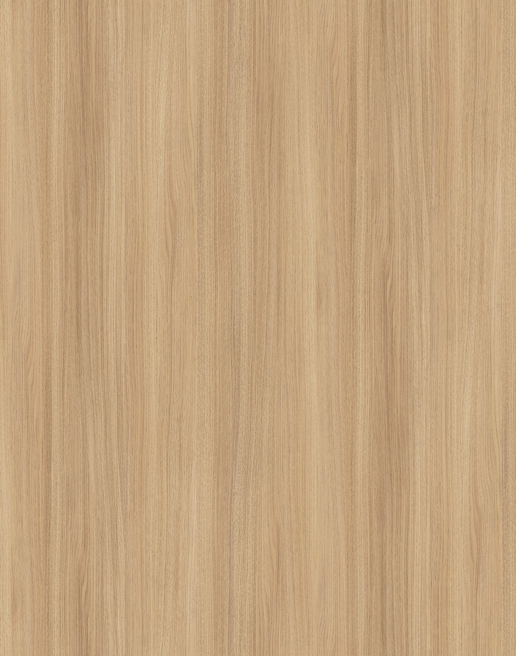 K543 Sand Barbera Oak Akustik Paneel 