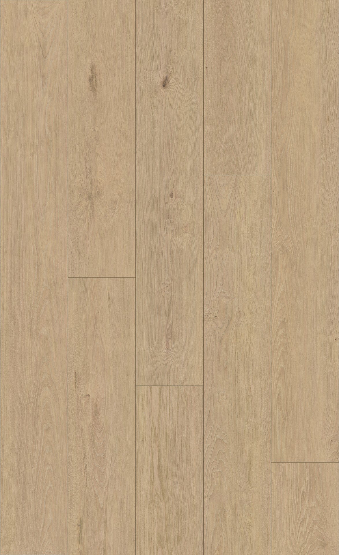 K847 Blonde Montanara Oak