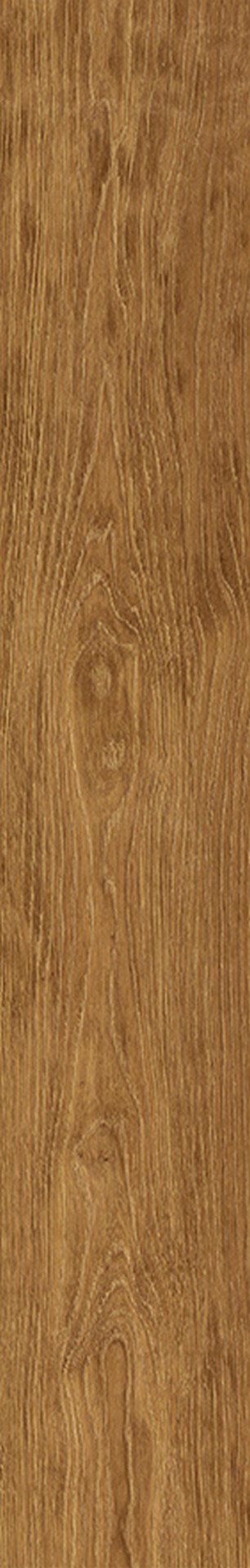 R234 Harvest Regis Oak