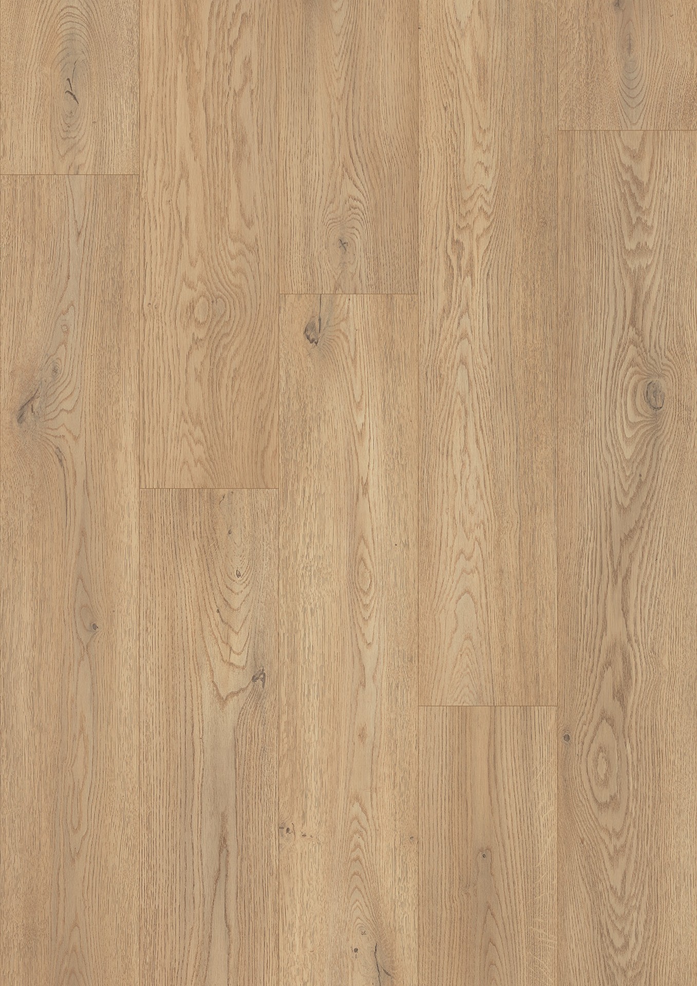 K2738 Torro Cremona Oak