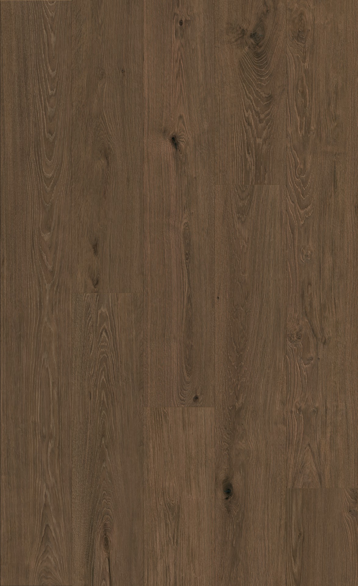 K849 Dark Montanara Oak