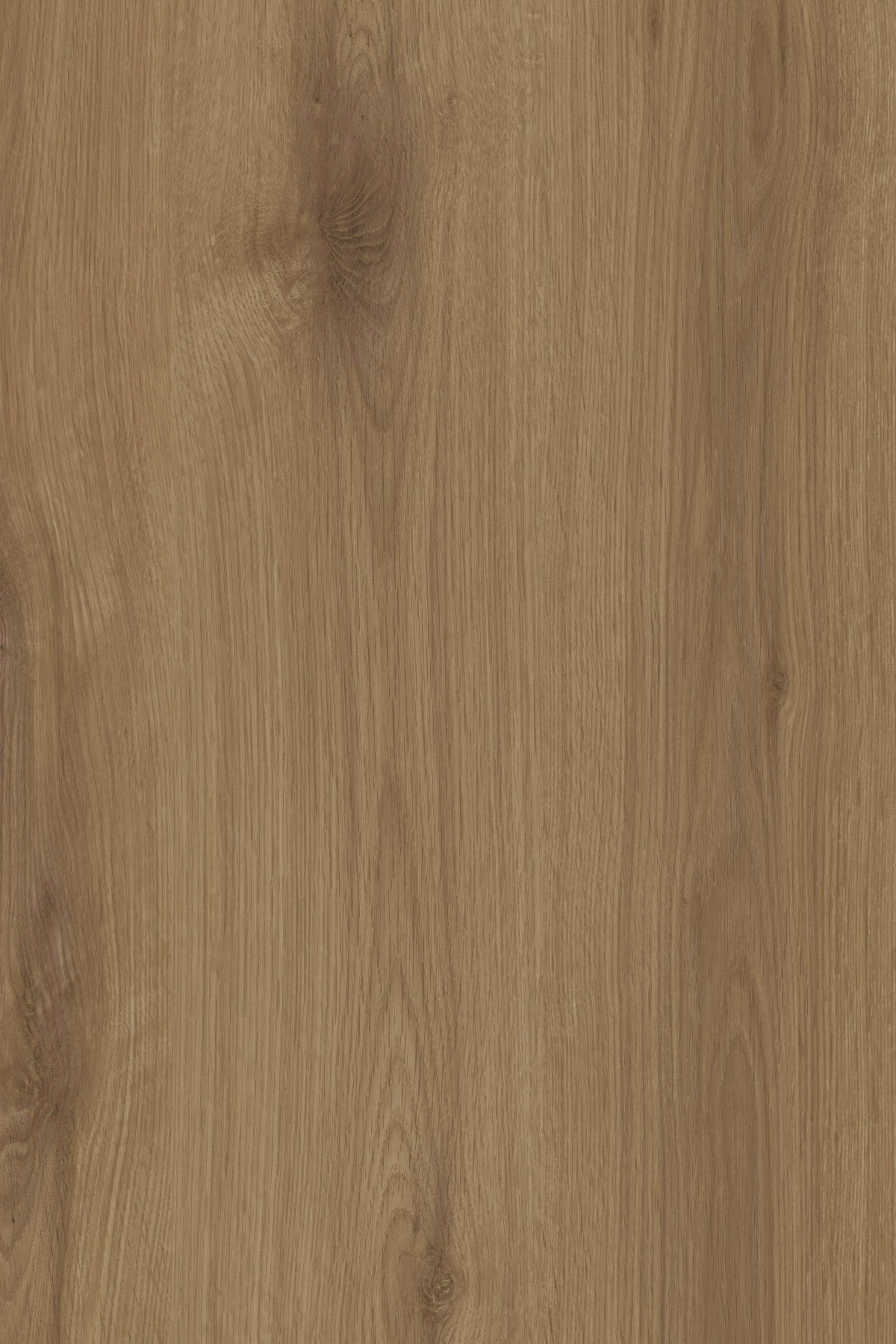 K688 Natural Canella Oak (MF PB sample)