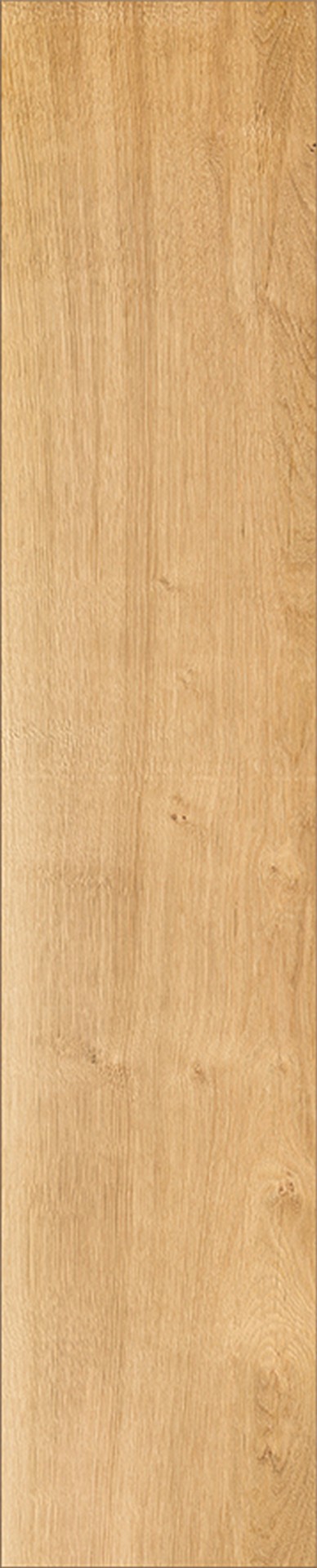 R066 Sculpta
