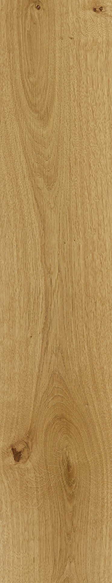 R247 Golden Richelieu Oak