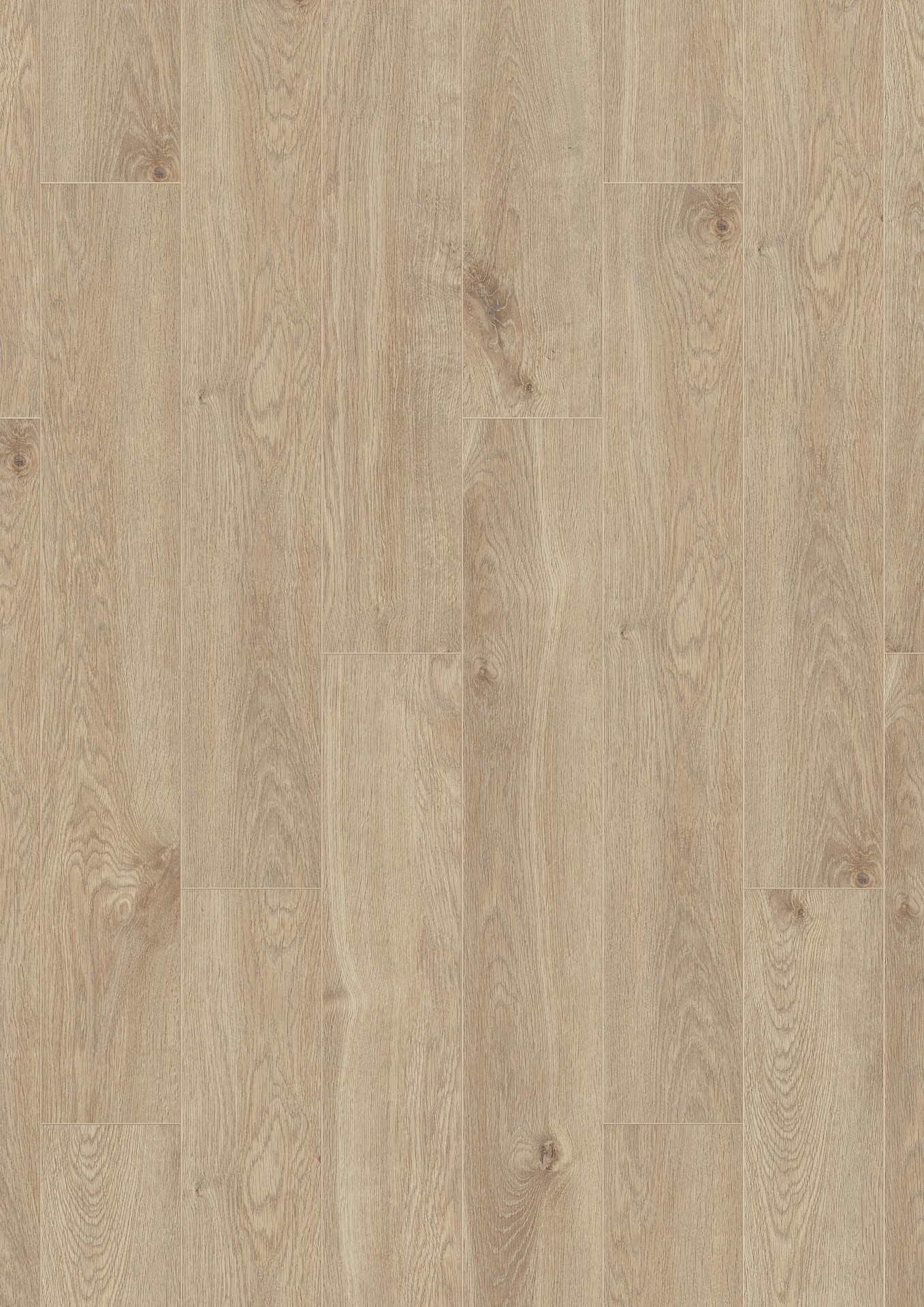 K406 Eurus Oak