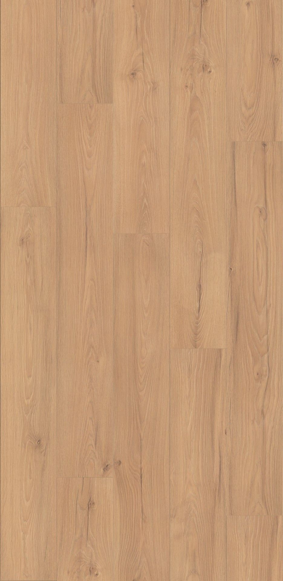 K853 Honey Ribera Oak