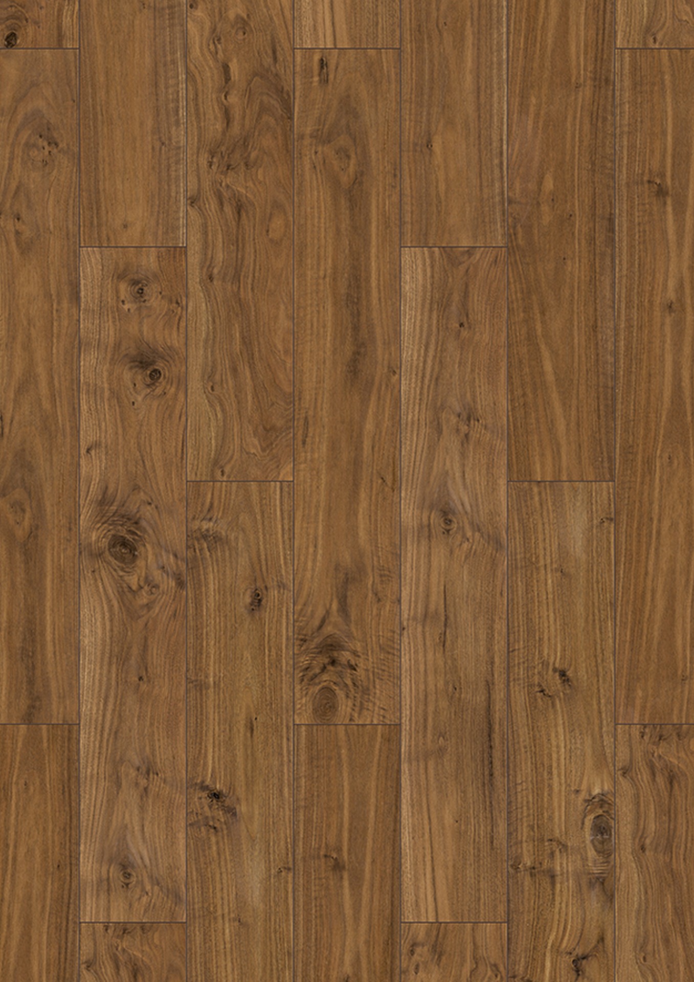 R246 Cadenza Walnut