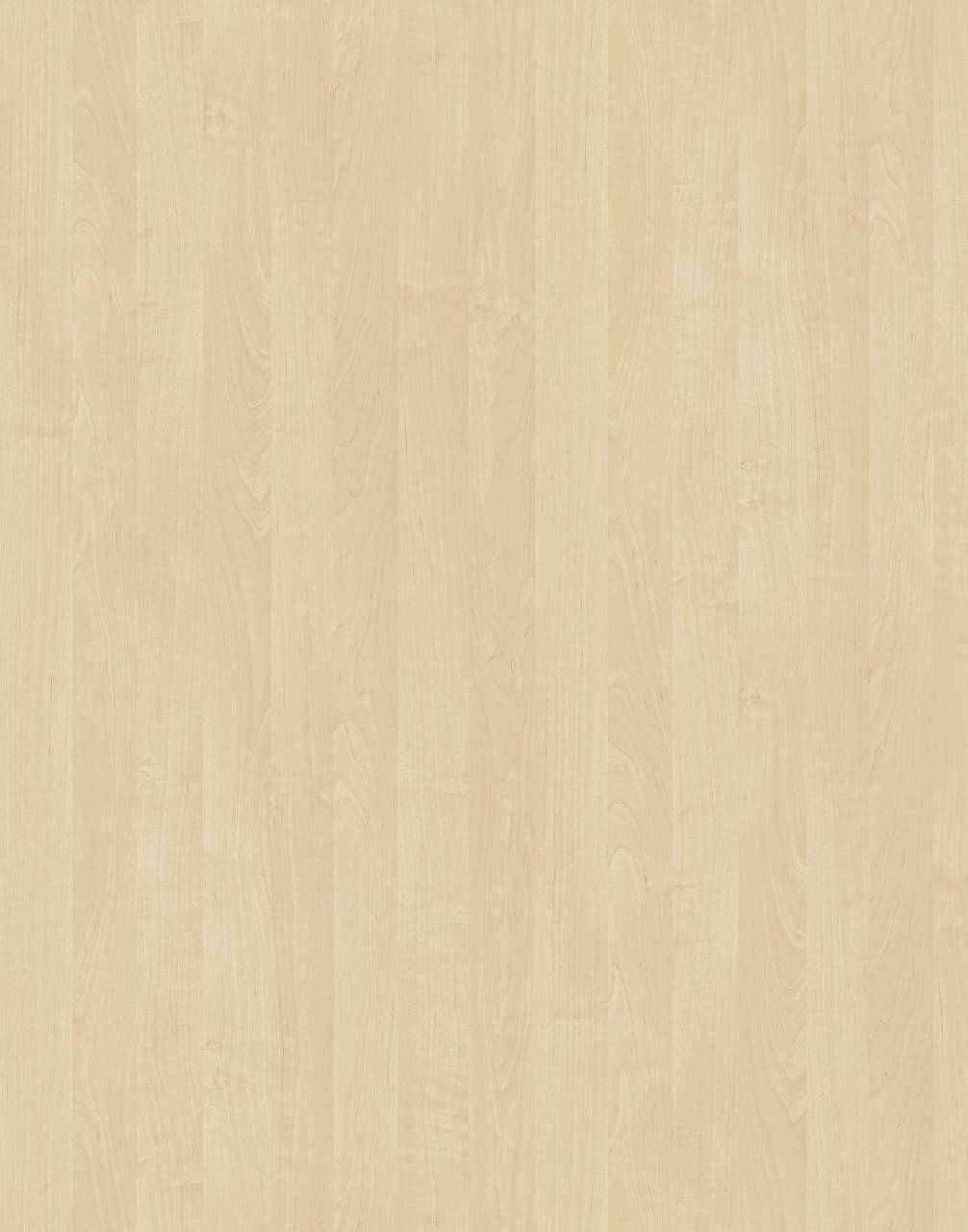 Birch BS HPL with textured surface, light tones, and a subtle sheen for a natural and delicate look.