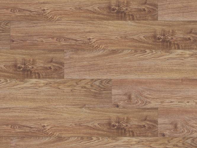 Close-up view of product 8169 Polish Oak, highlighting its authentic oak grain pattern and the subtle, rich hues in its finish.